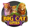 Big Cat Links